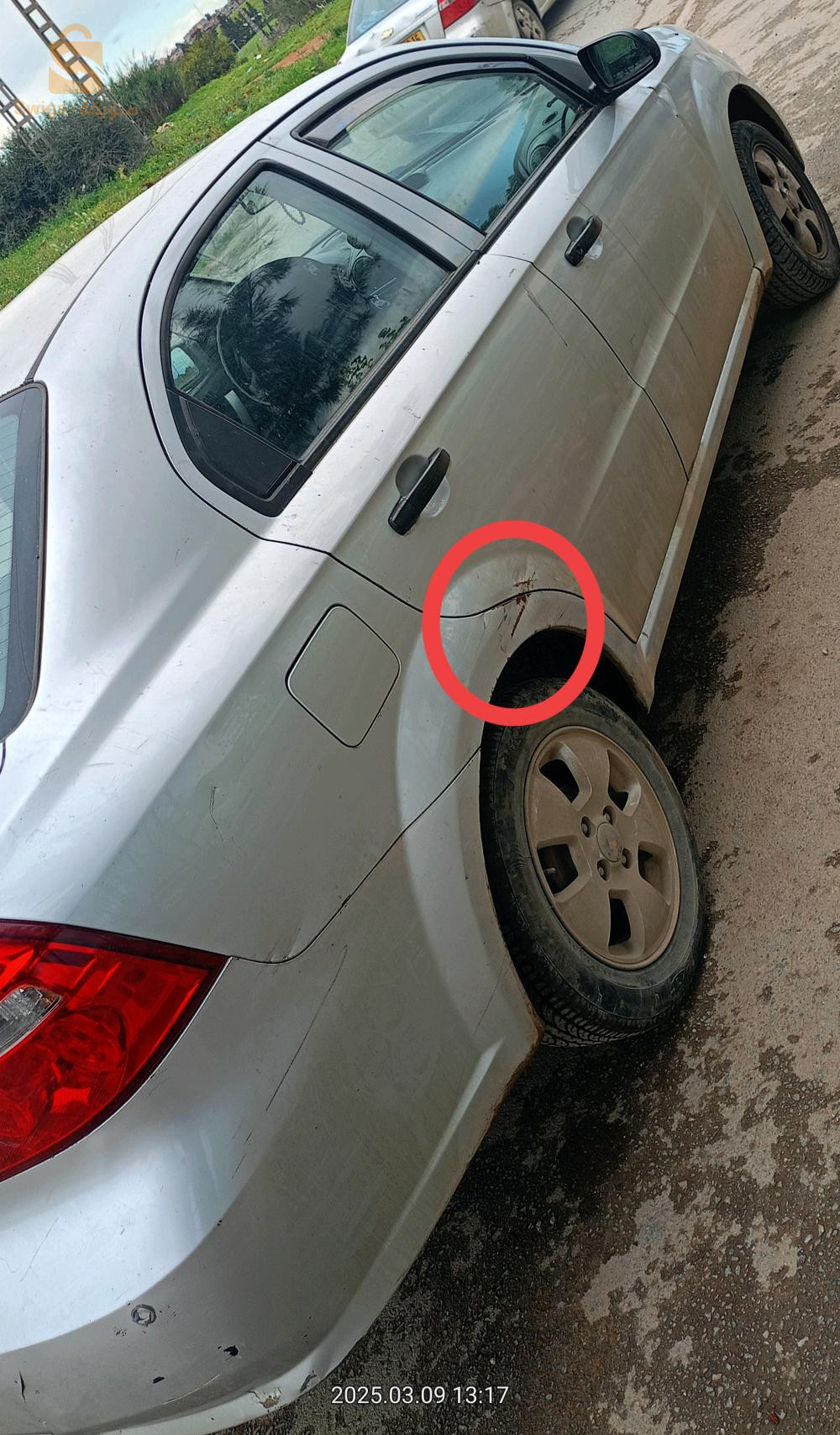 شيفروليه Aveo 2013 16 الجزائر
