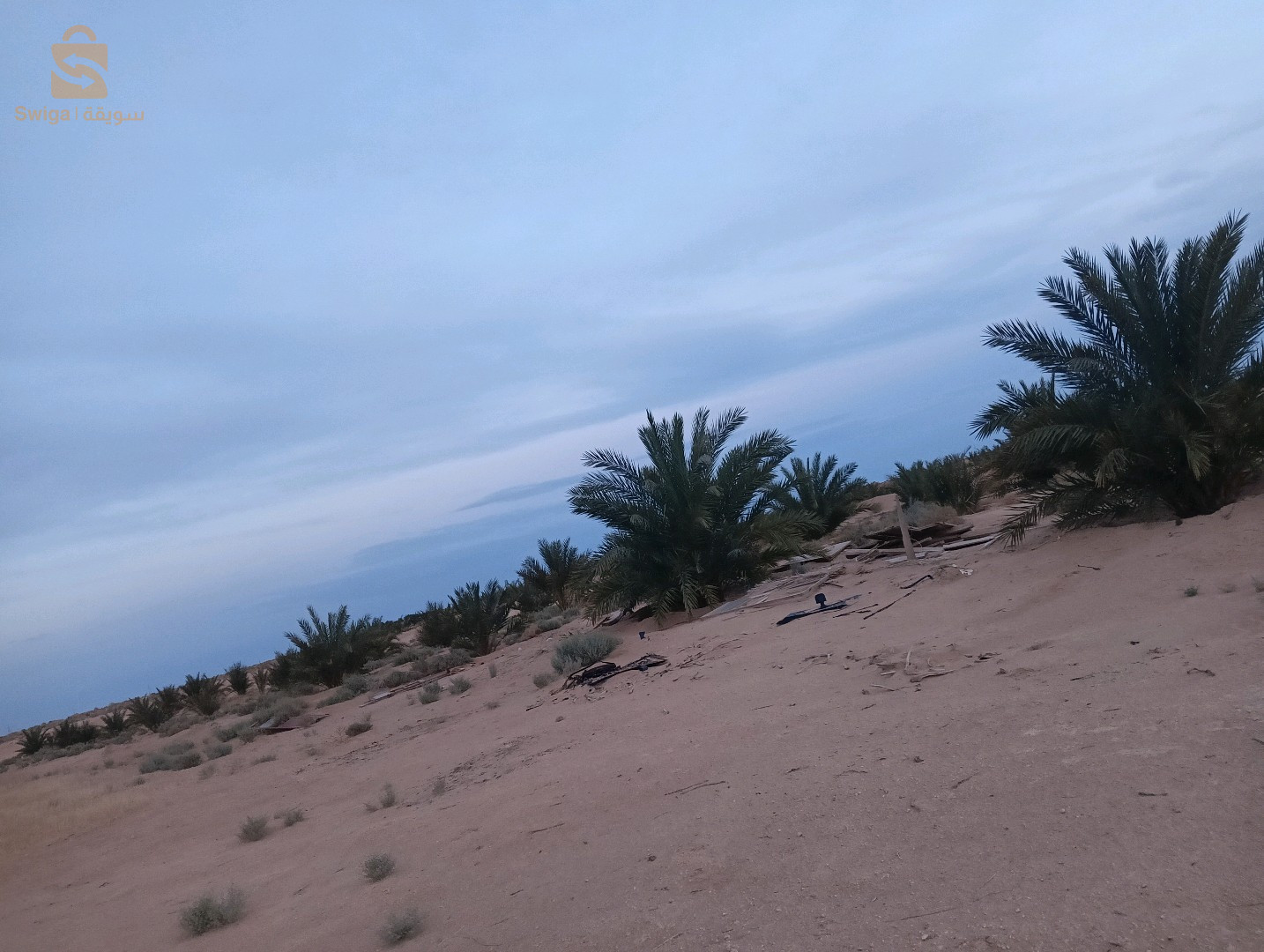 ارض فلاحية