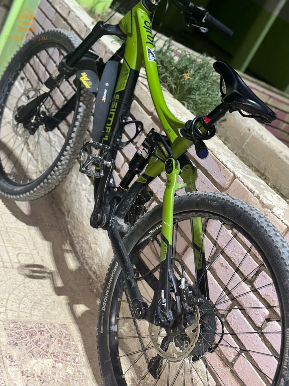 🚲