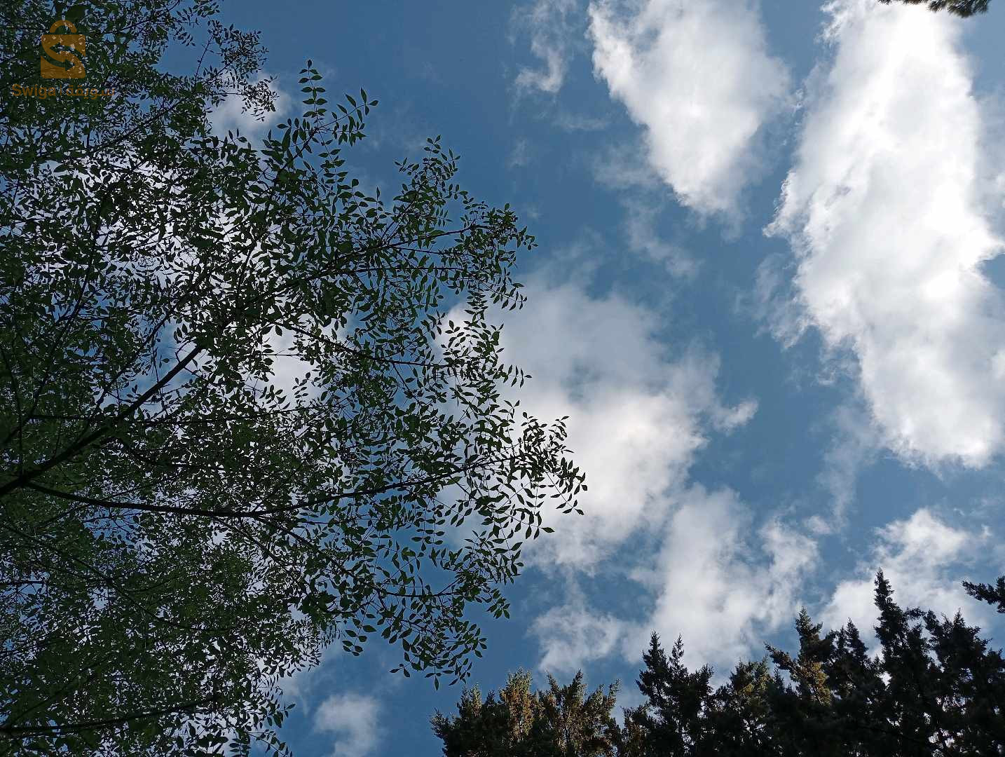 قطعة ارض للبيع بالمنية قسنطينة