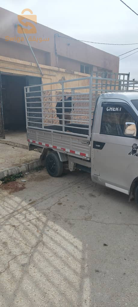 شيري Cowin C3 2019 3 الاغواط