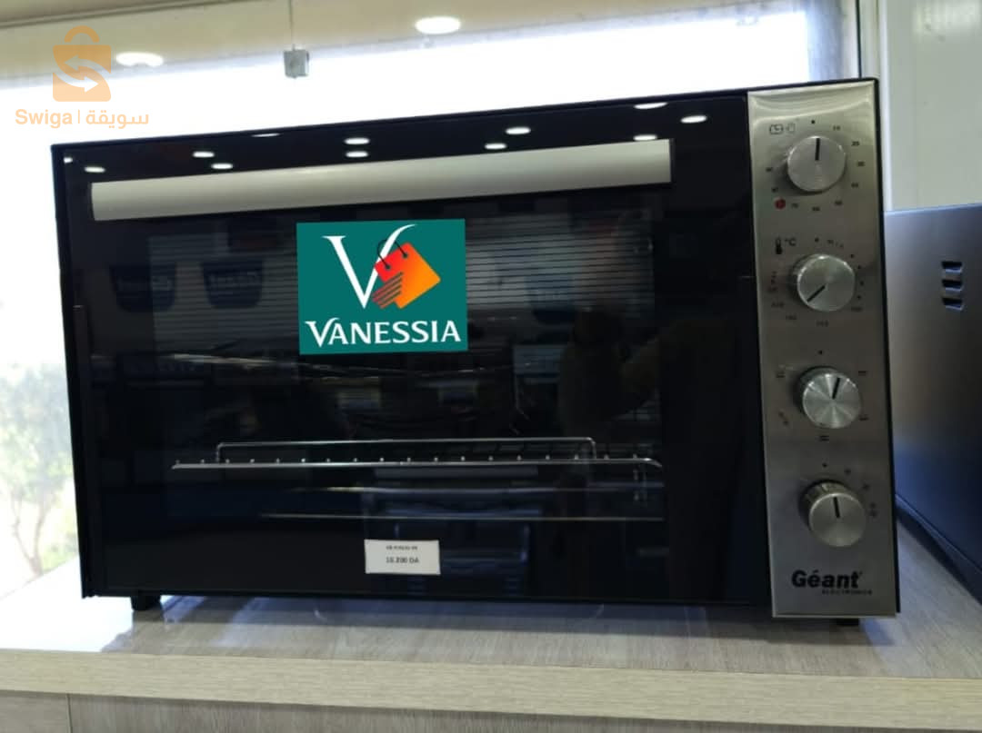 Four électrique marque géant 70L inox