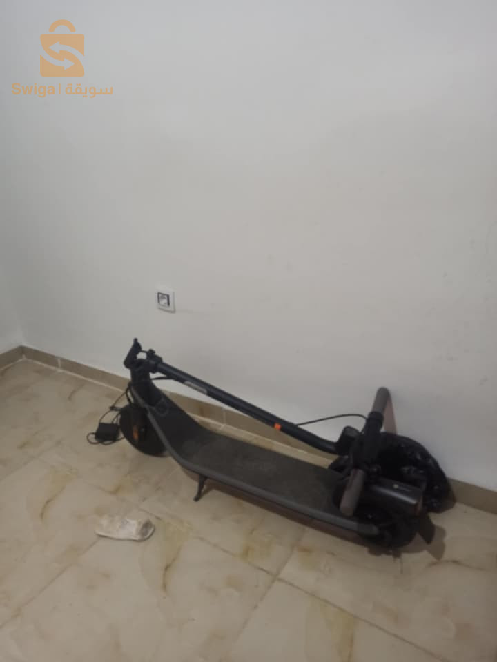 تروتينات