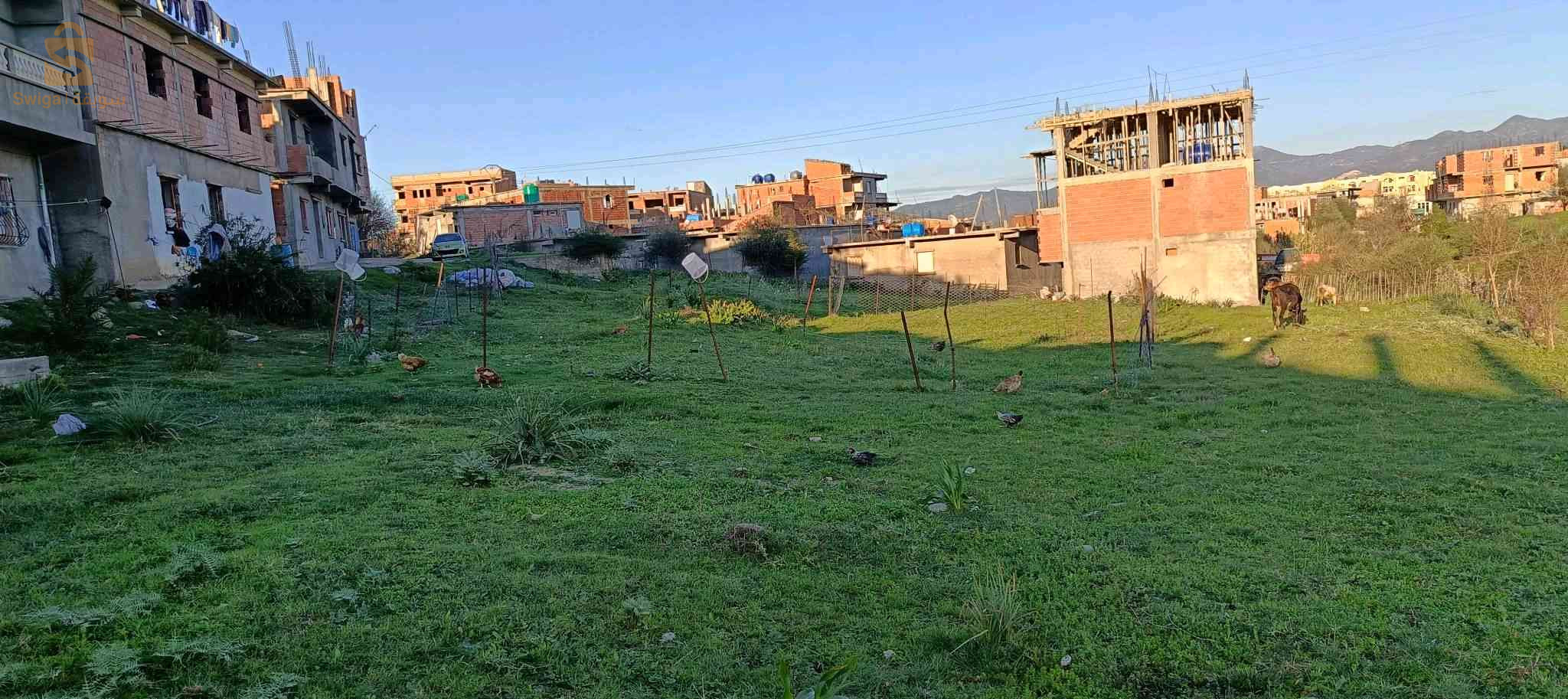 بيع قطعة ارض في تاسيفت بطاهير سومة شابة