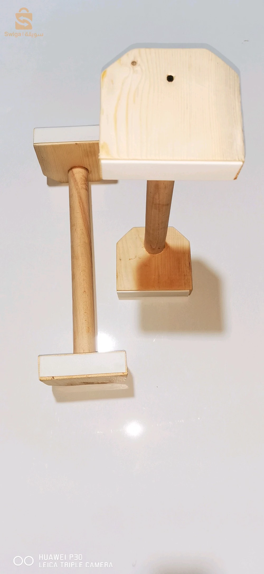 Parallettes calisthinics