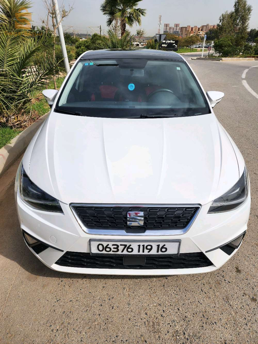 سيات Ibiza 2019 16 الجزائر