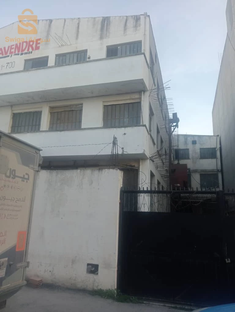 Hongar commercial EL hamiz