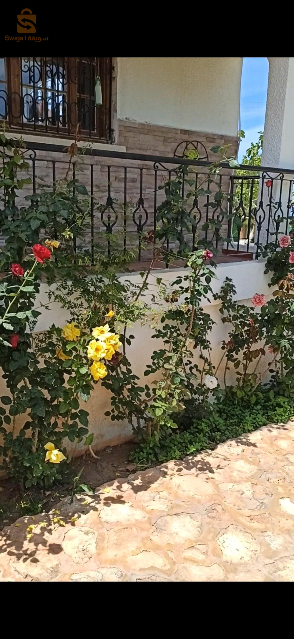 décoration espace vert et jardinage