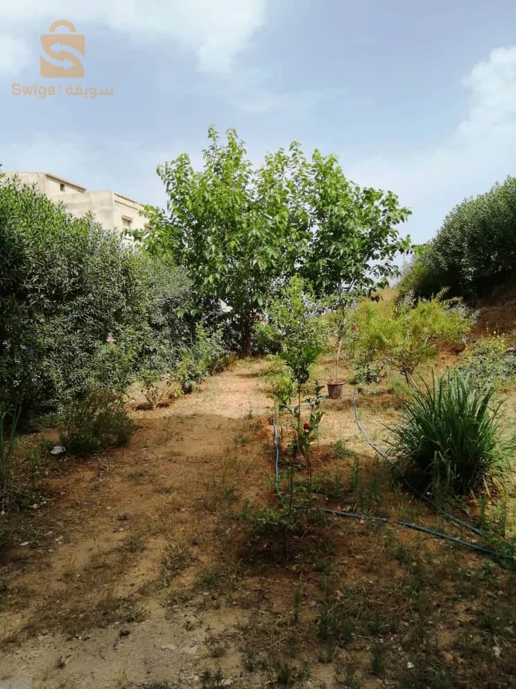 فيلا سكنية وتجارية للبيع في شرشال ولاية تيبازة