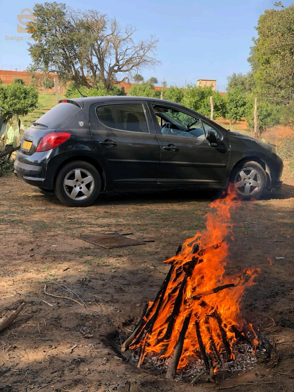 بيجو 207 2008 31 وهران