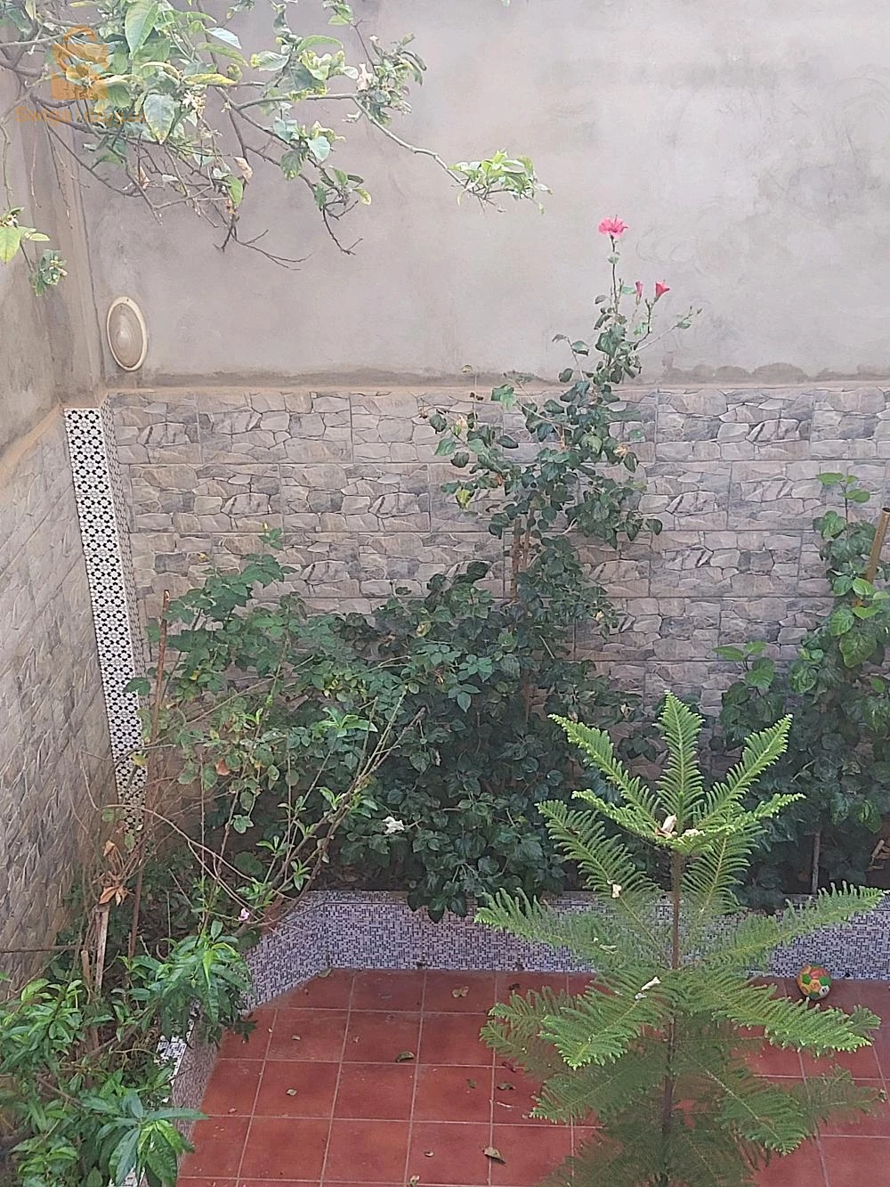 villa r plus 2 canastl