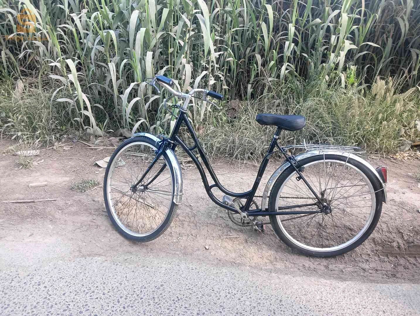 0798643061 كلاسيك