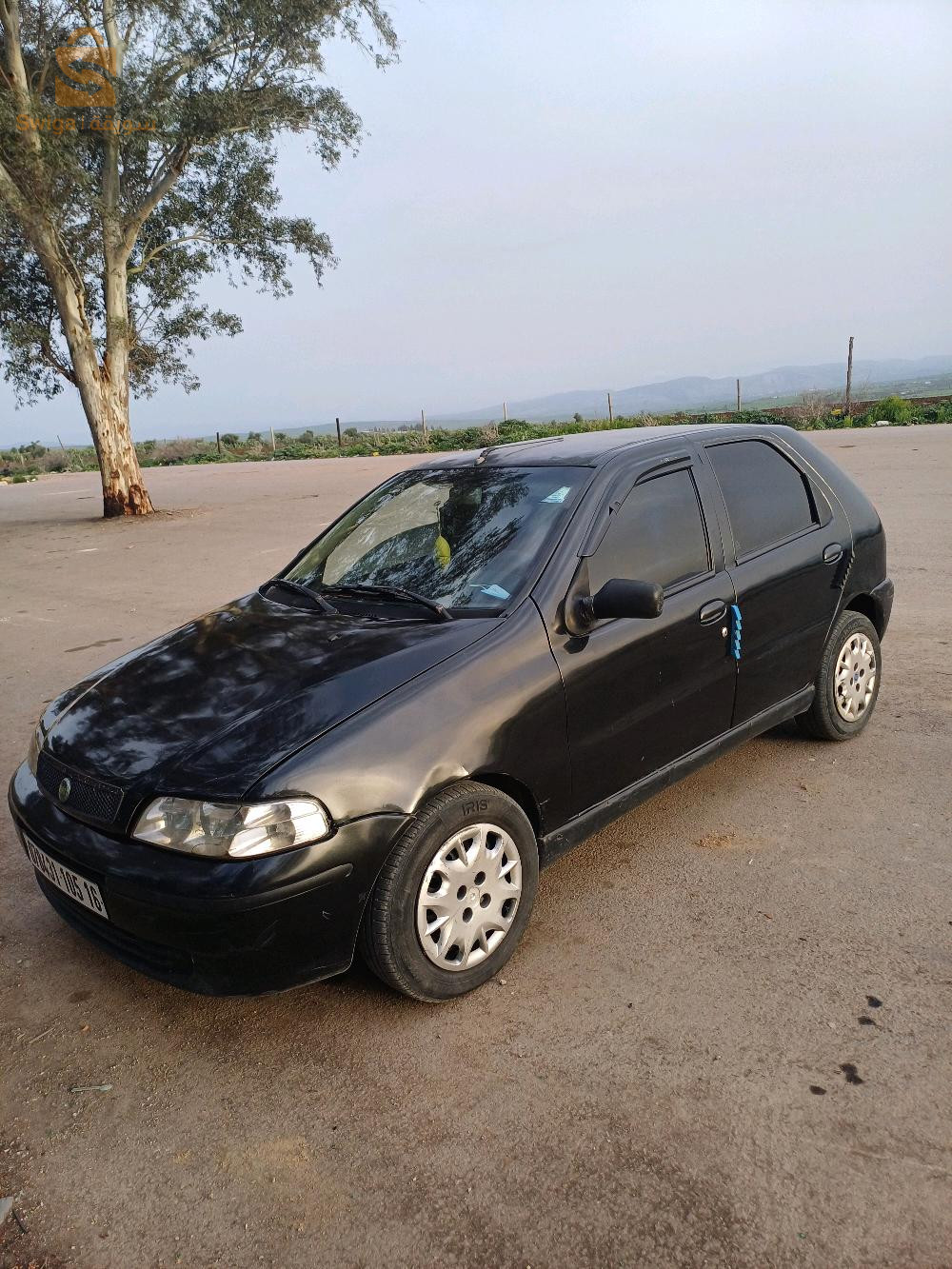 فيات Palio 2005 16 الجزائر