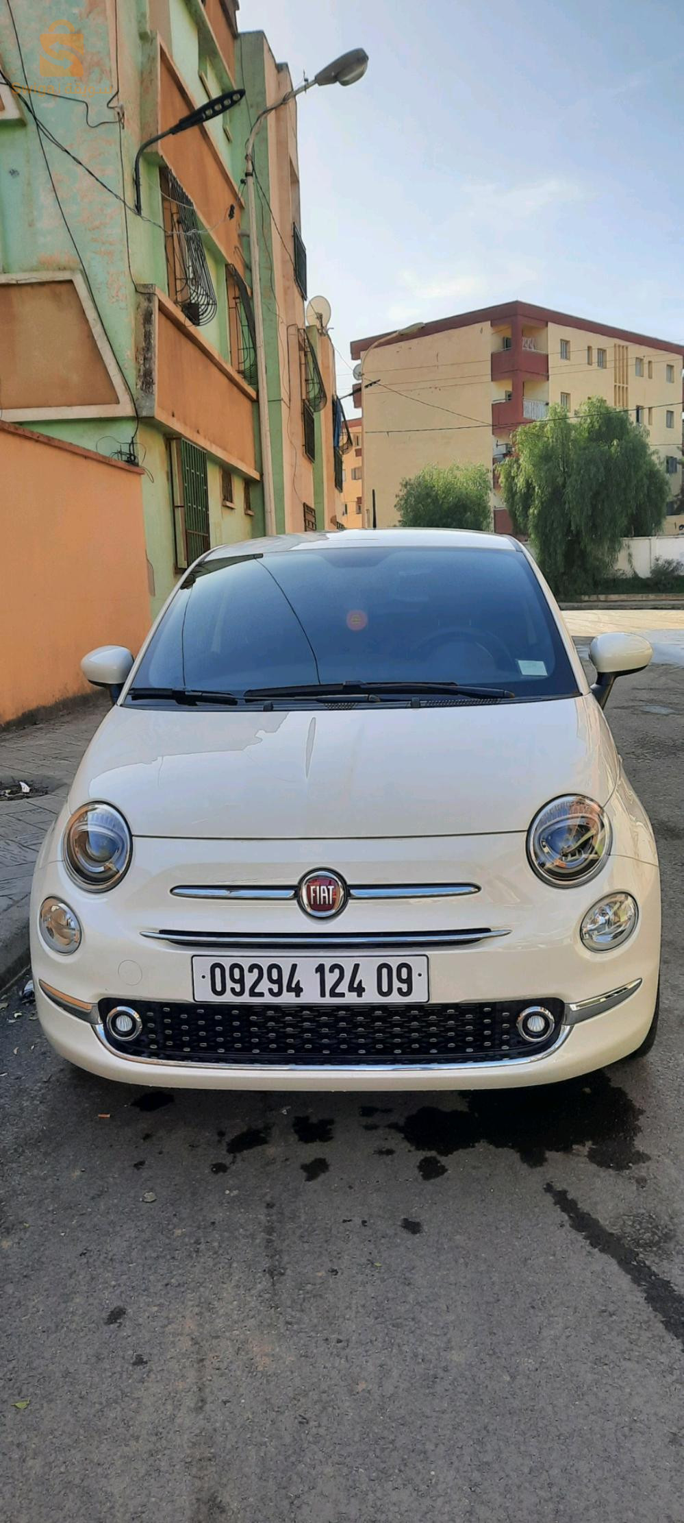 فيات 500 2024 9 البليدة