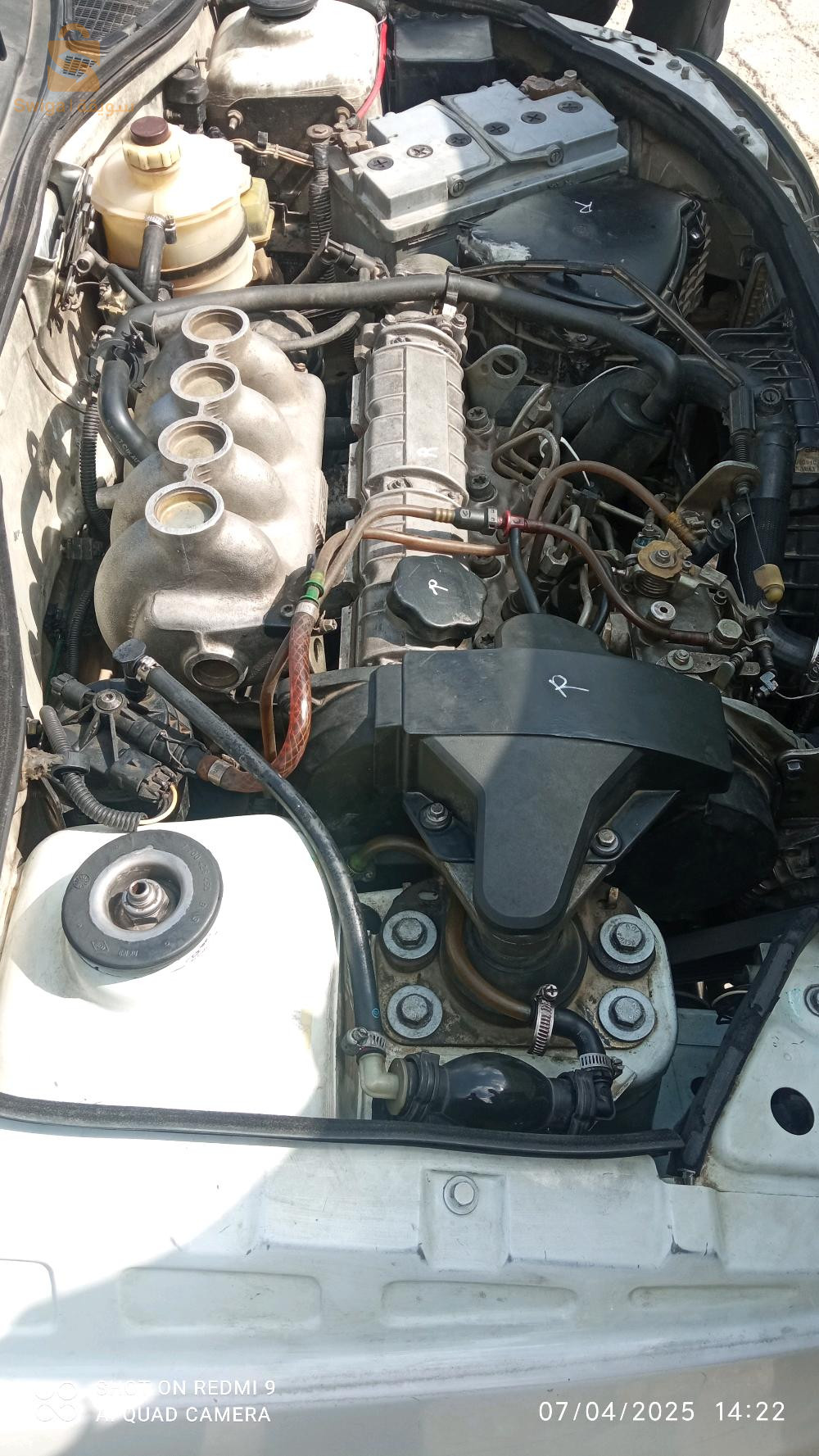 رينو Clio 1 1998 19 سطيف