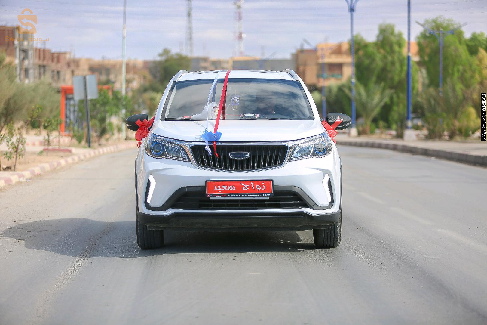 gelée GX3 pro Privilège 28 M'SILA