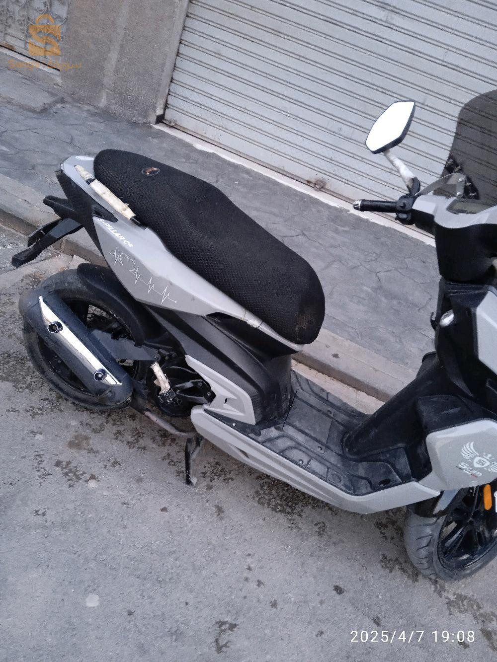 SAM SPILLAR cs
