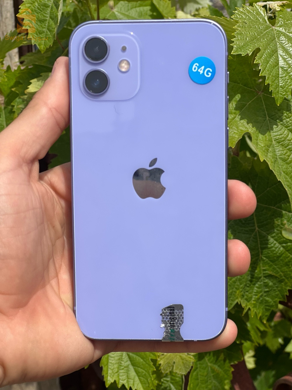 iPhone 12