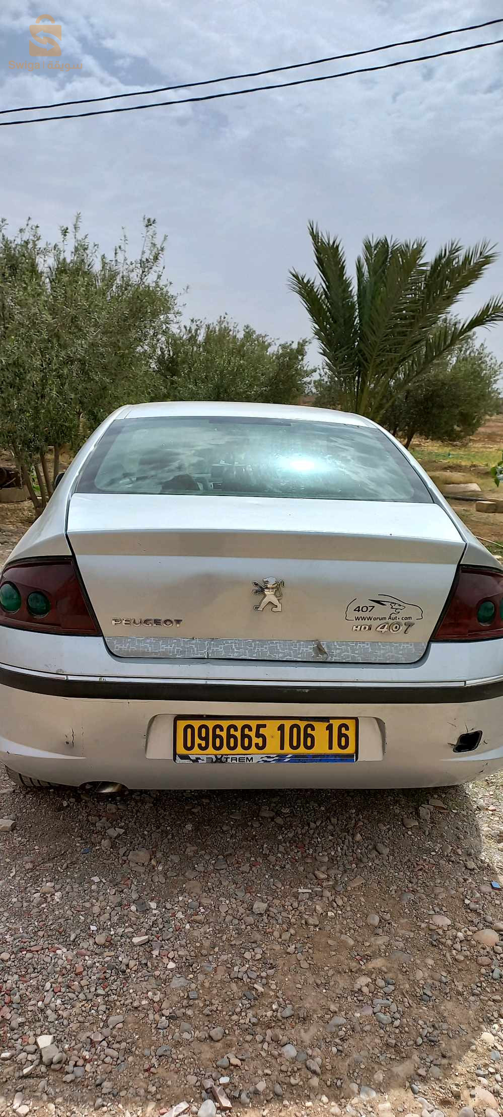 بيجو 407 2006 28 المسيلة