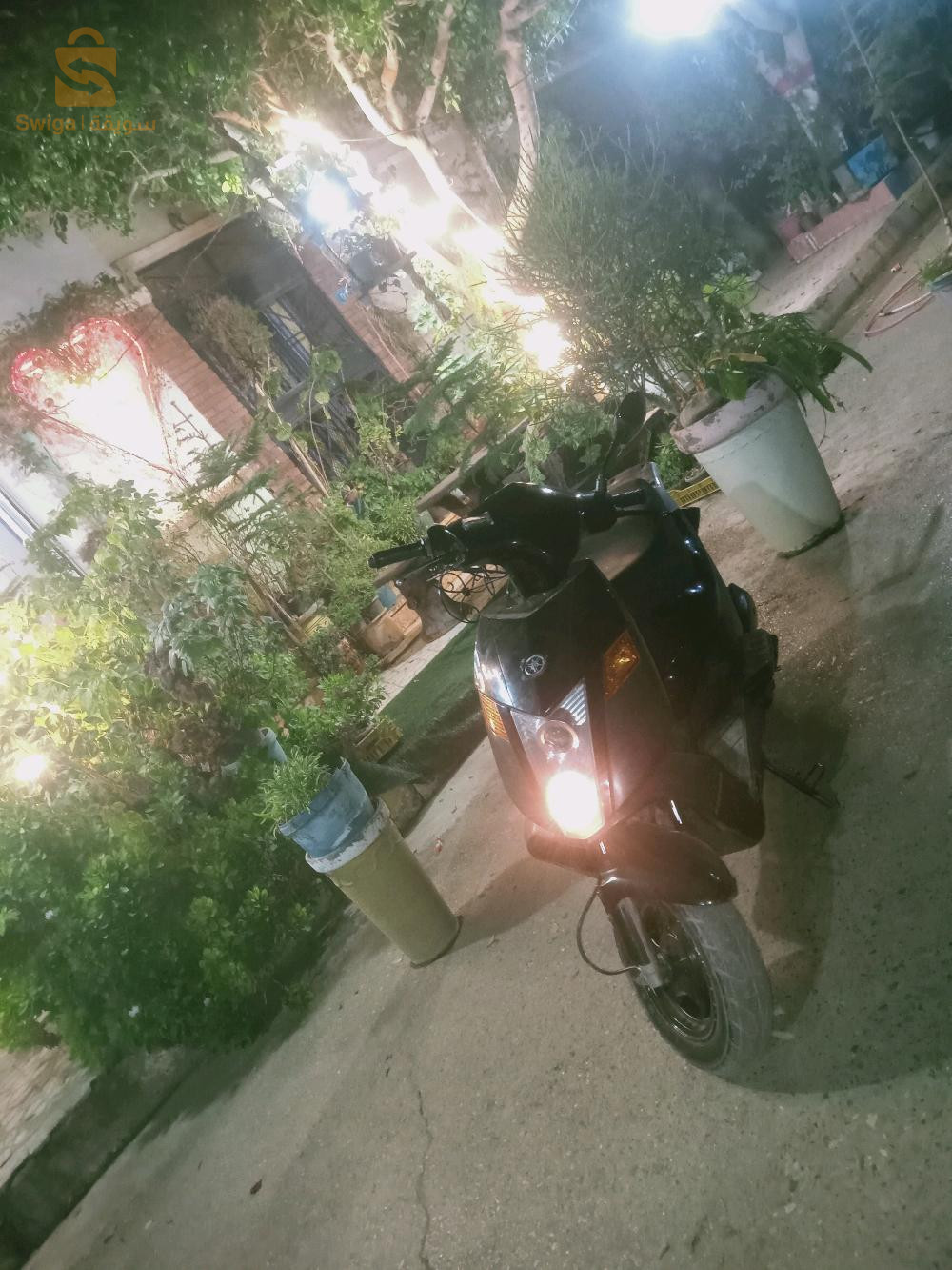 flasch 50cc