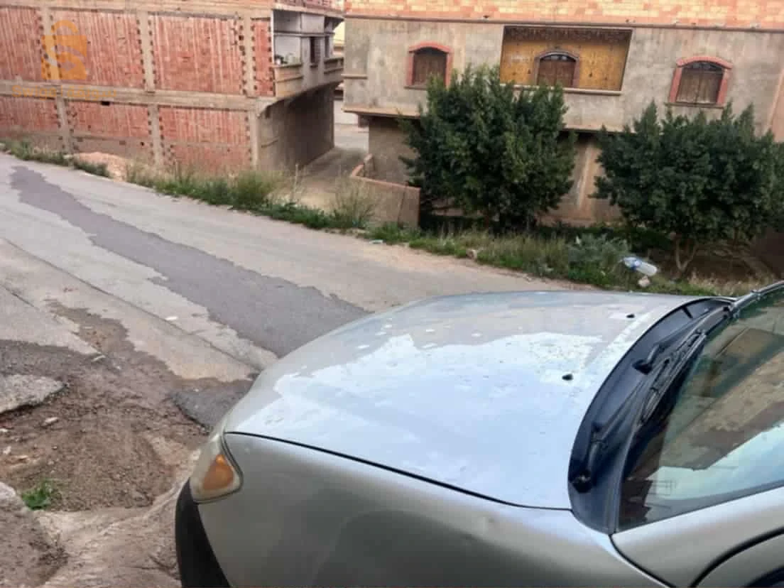 Toyota Hilux 2009 29 MASCARA