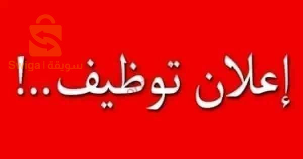 حدث على غير العادة في الجلفة في مجال التسويق العلاقاتي