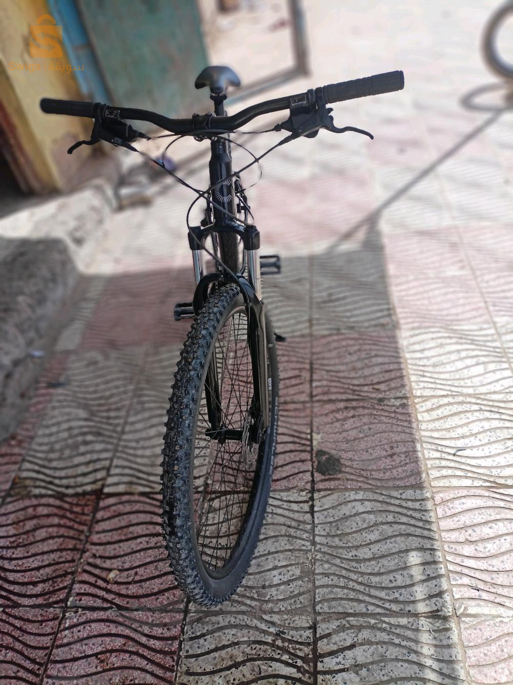 فيلو cannondale