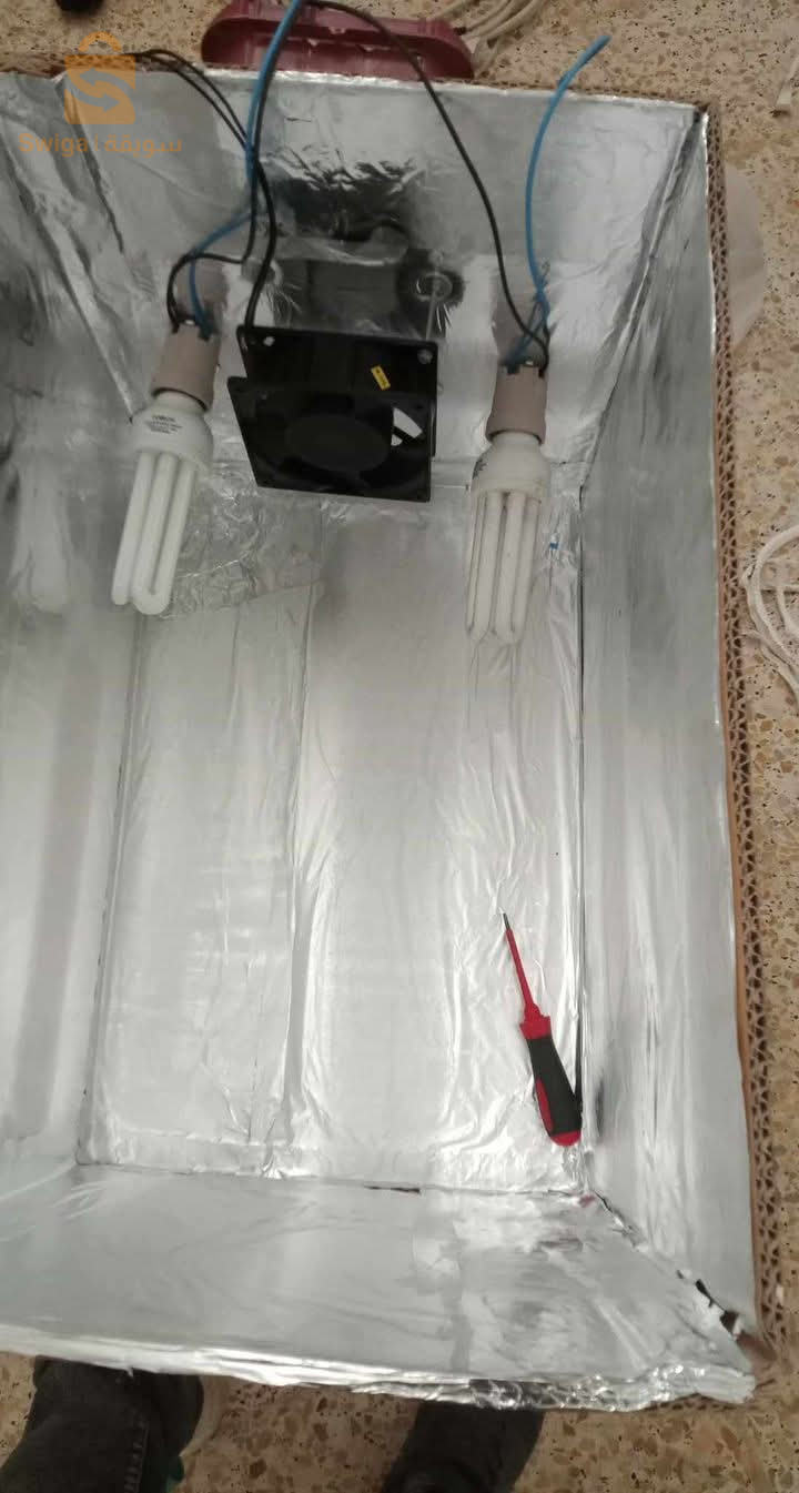 بيع عتاد الدجاج