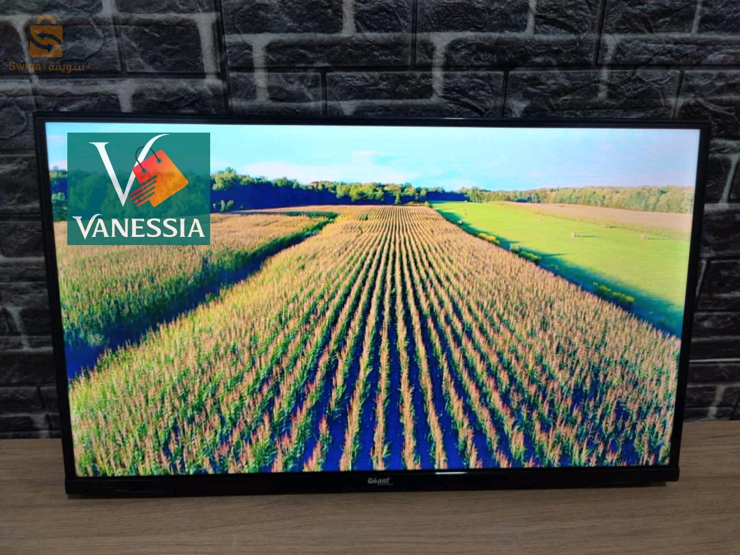 télévision marque géant 32p simple