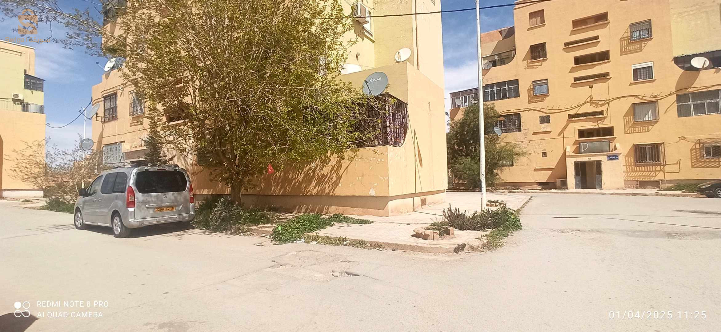 150 مسكن أخوة الزش البيض