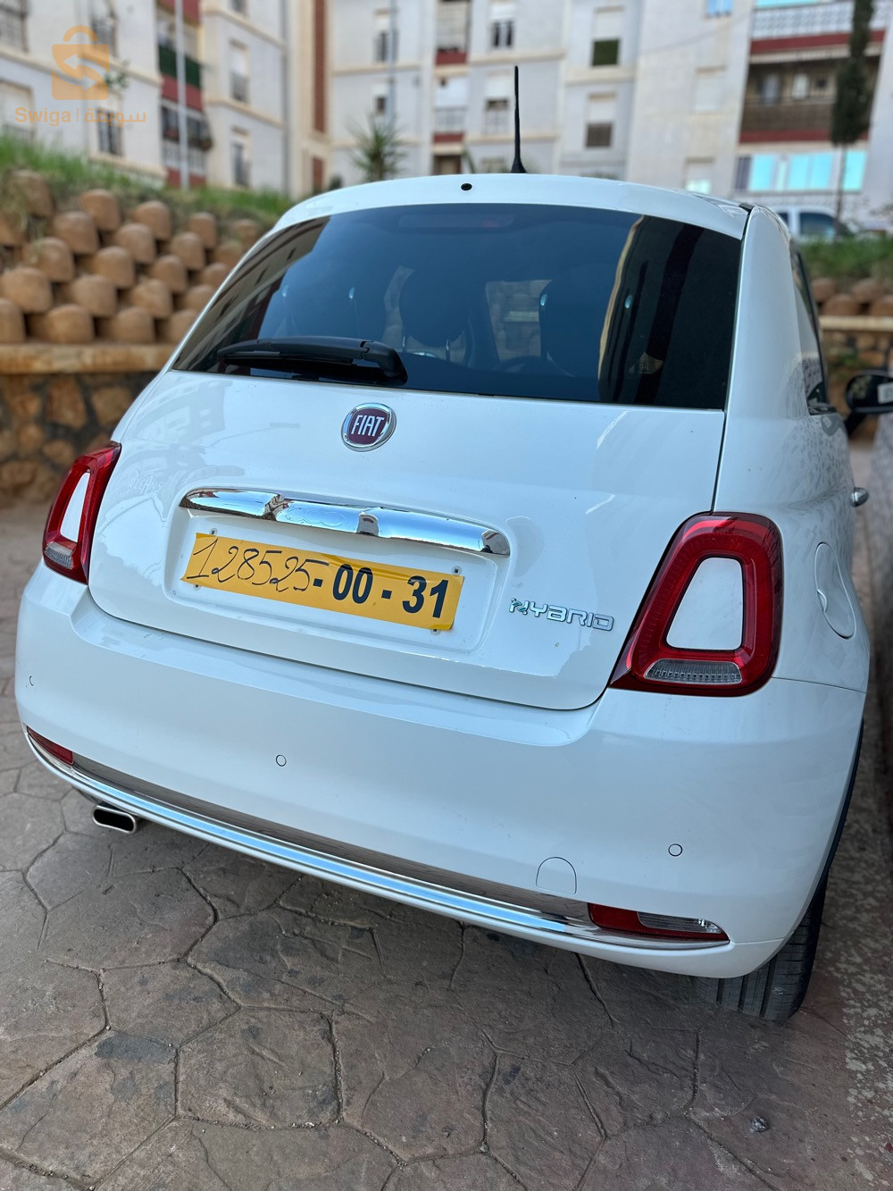 فيات 500 2024 42 تيبازة