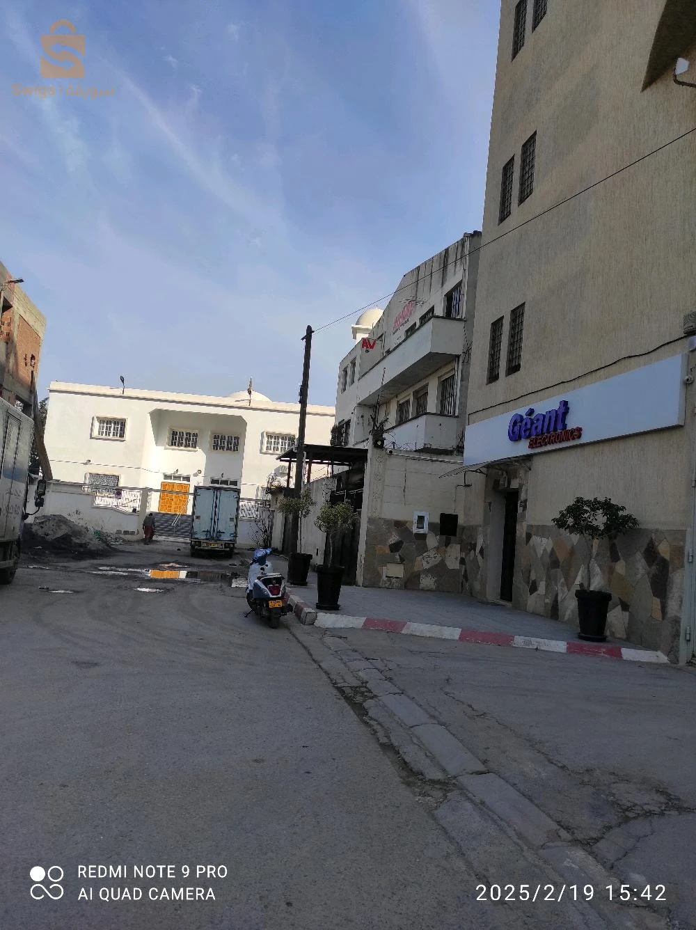 Hongar commercial EL hamiz