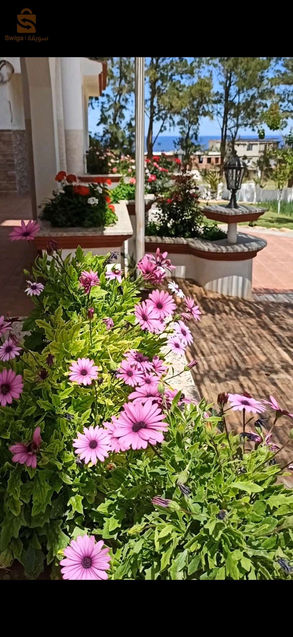 décoration espace vert et jardinage