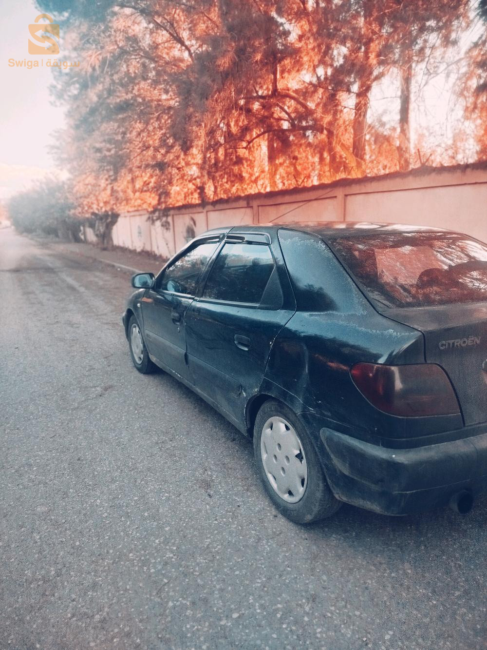 ستروين Xsara 1999 42 تيبازة