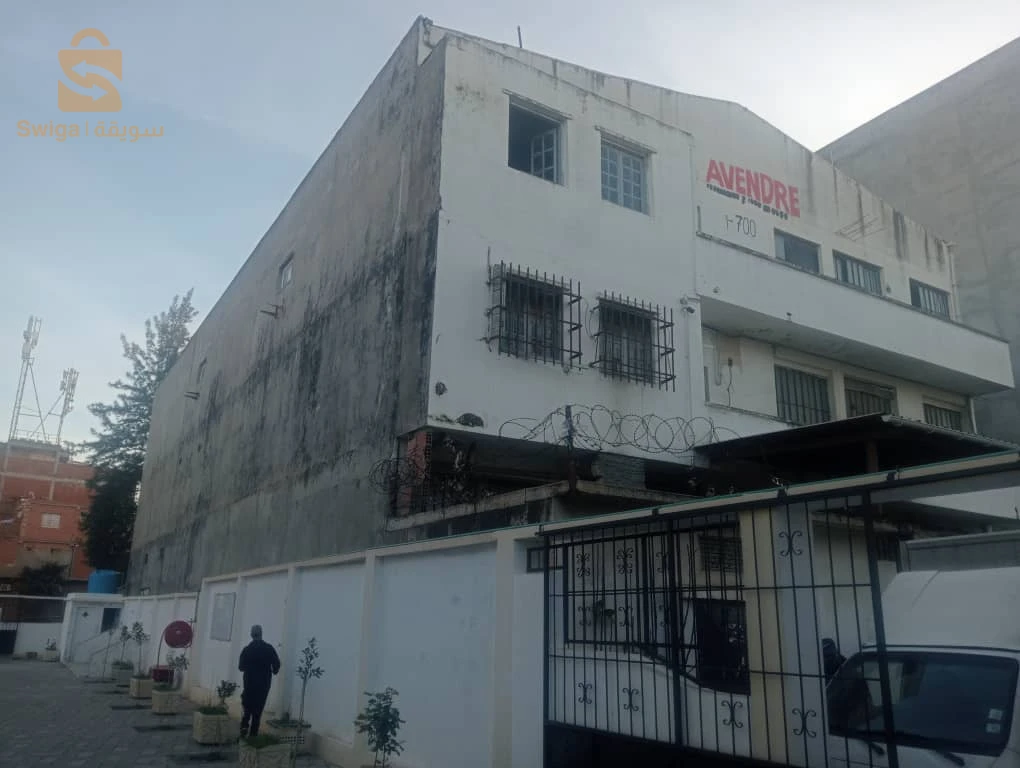 Hongar commercial EL hamiz