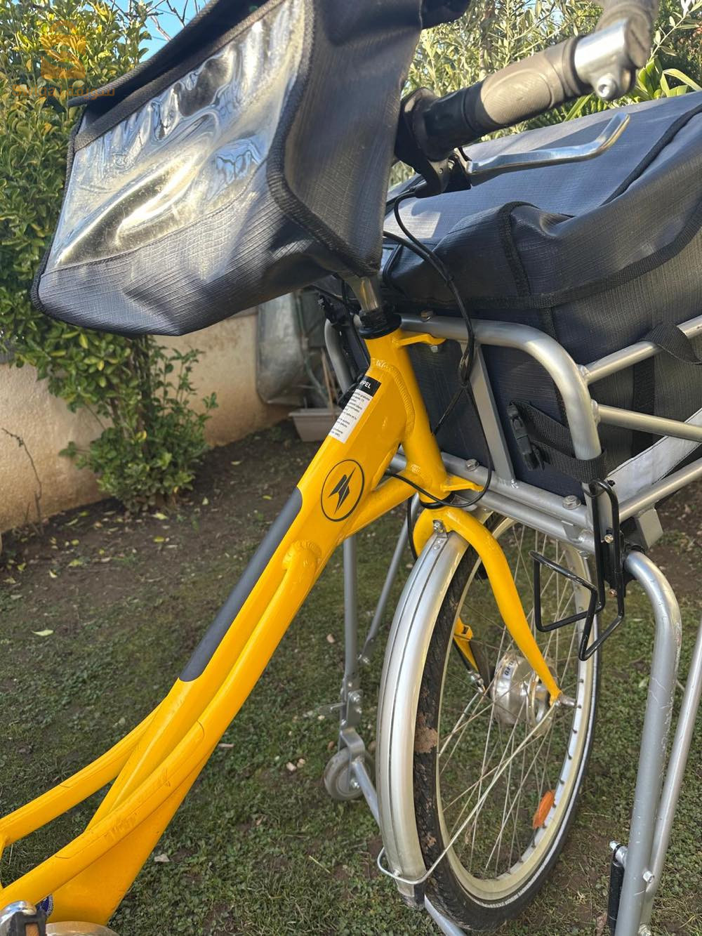 فيلو باتري جديدة مع الشرجار