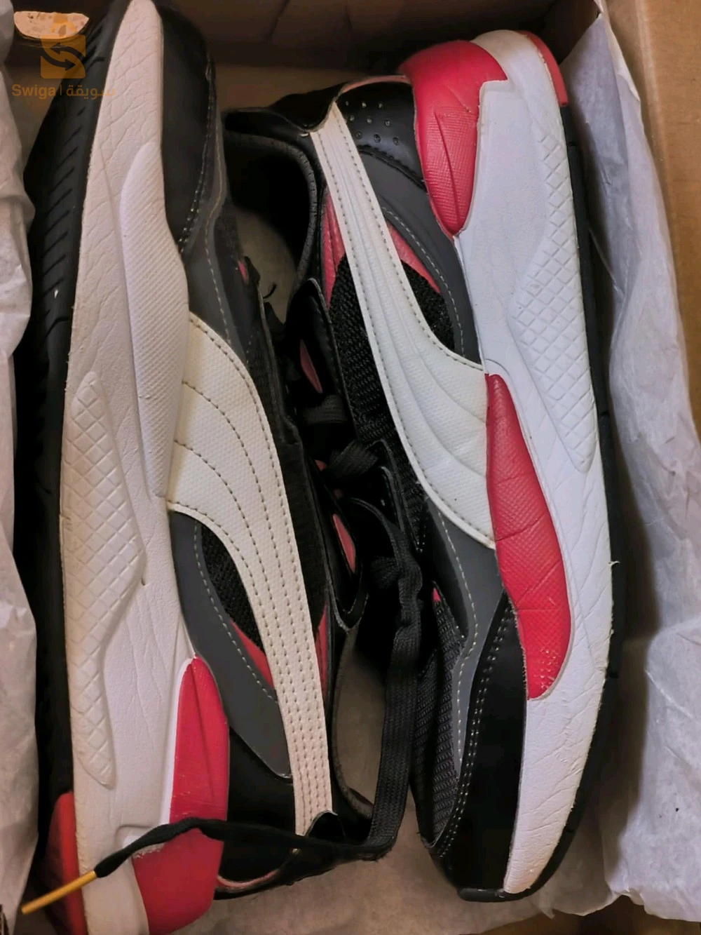 puma rs Ferrari