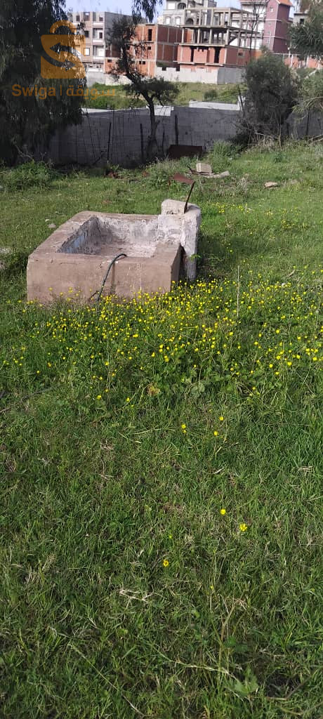 قطعة ارض عمرانية بمساحة 4000م في مدينة القالة الساحلية