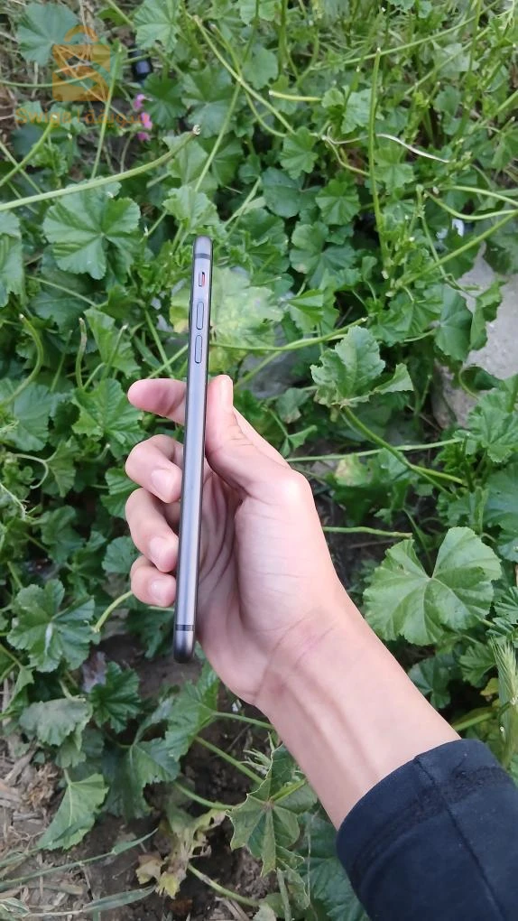 iphone 8 plus