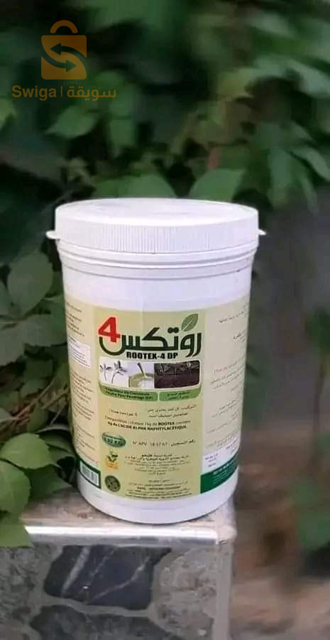 هرمون التجذير