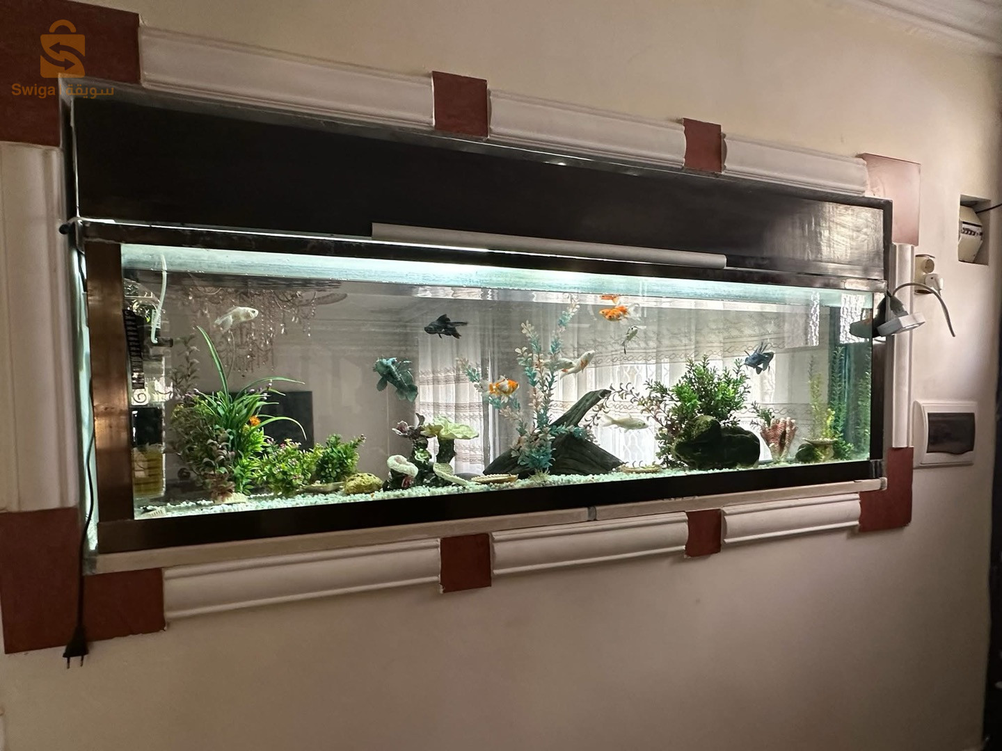 villa -cheraga-el quaria