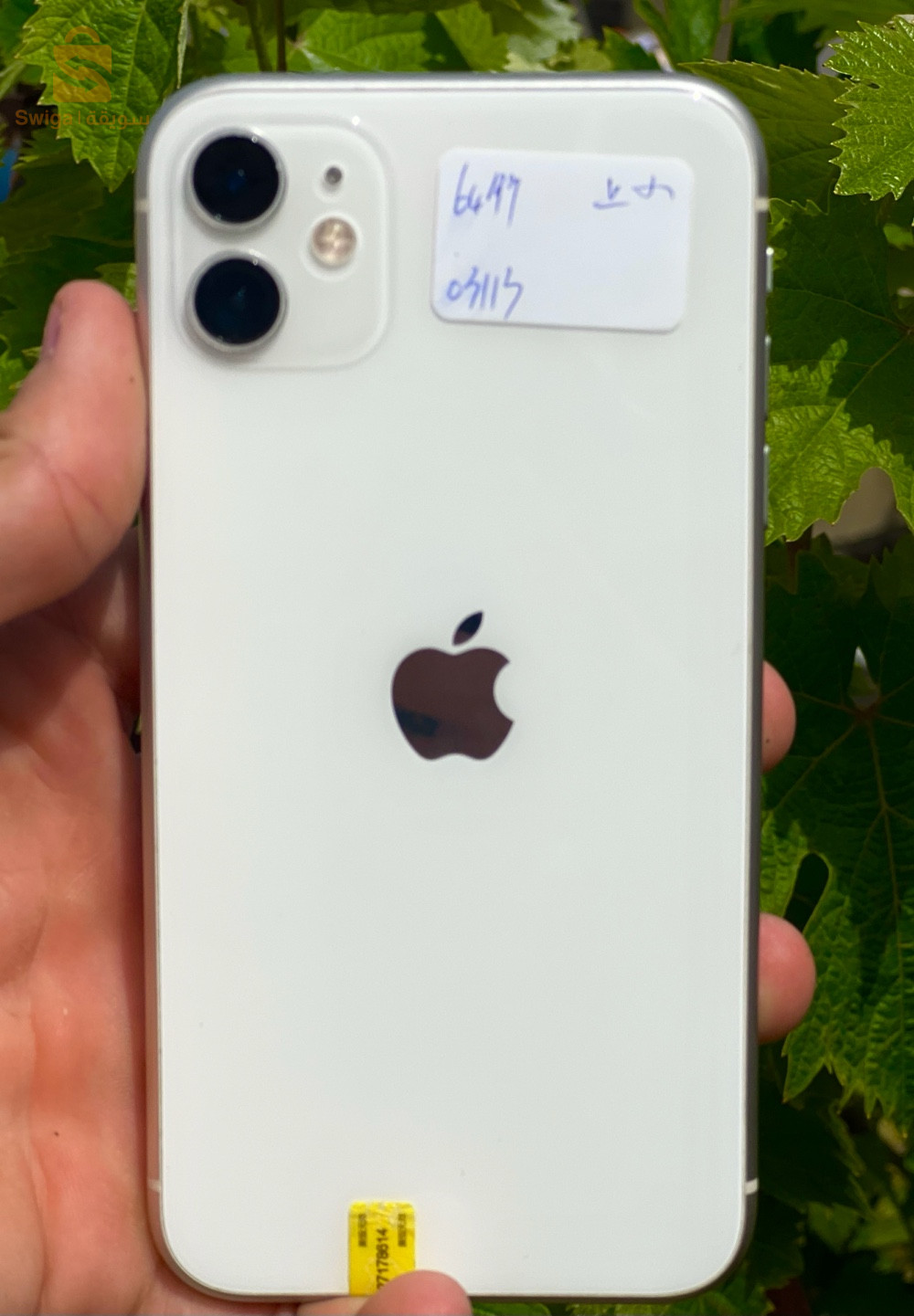 iPhone 11