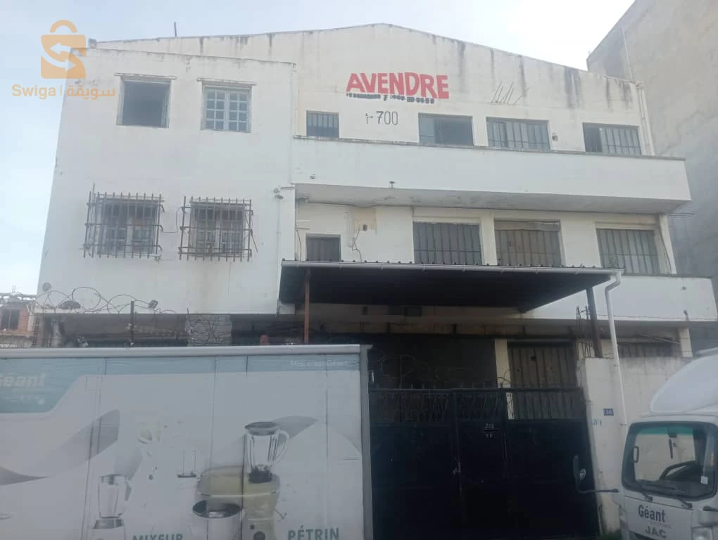 Hongar commercial EL hamiz