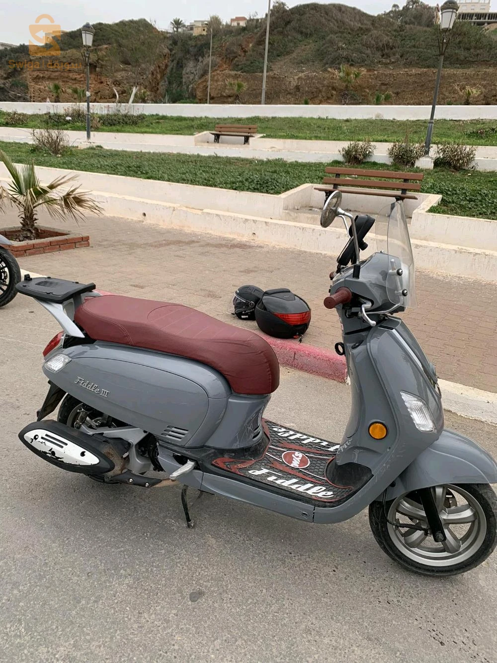 fiddle3 150