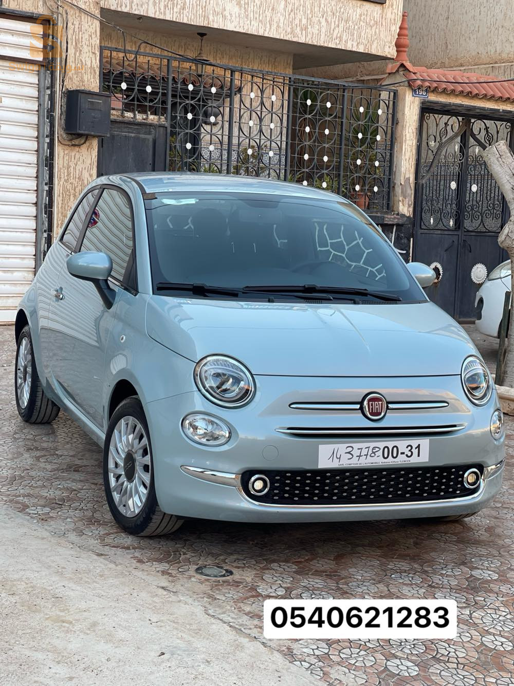 فيات 500 2025 46 عين تموشنت