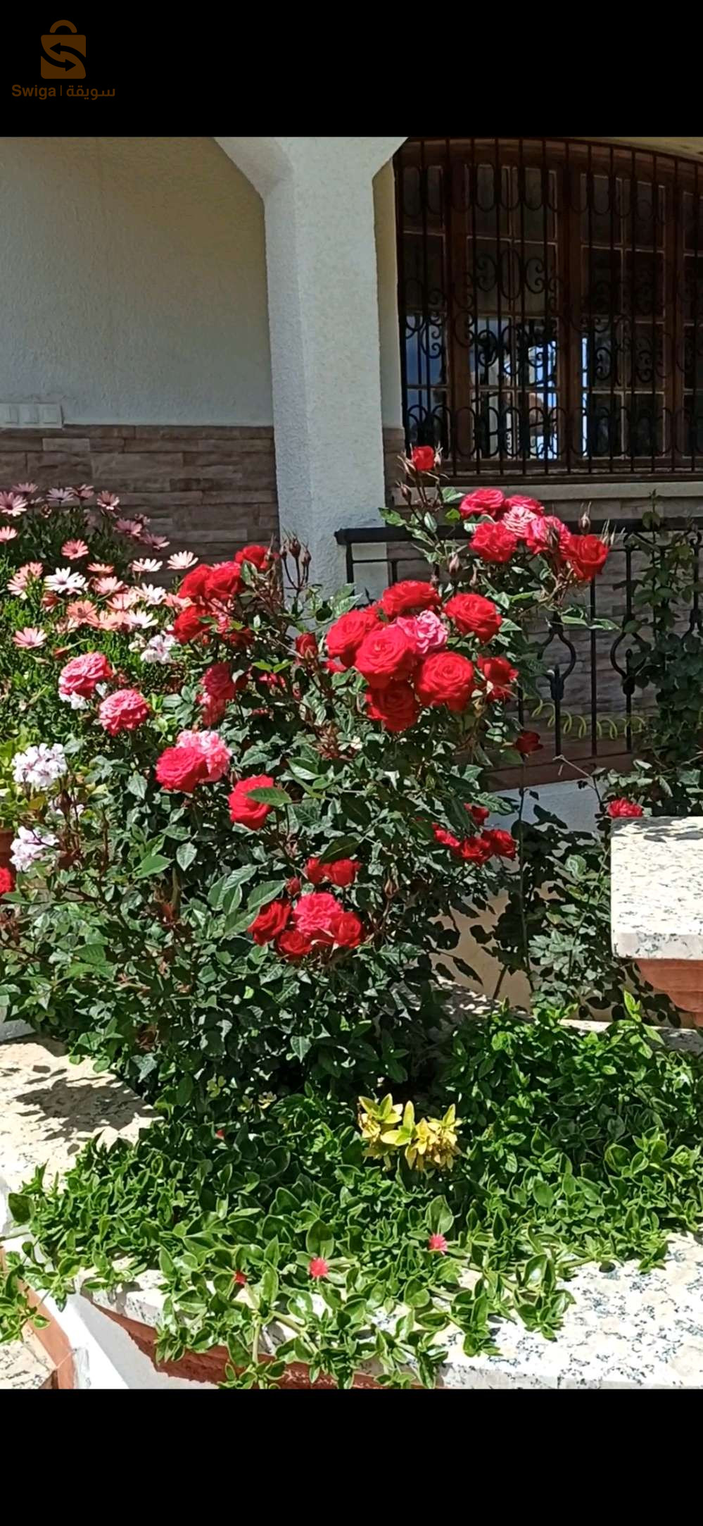 décoration espace vert et jardinage