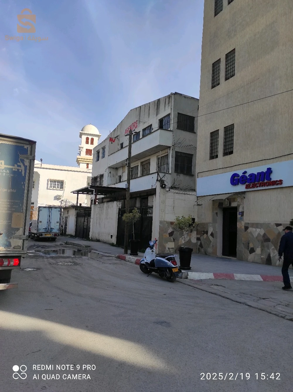 Hongar commercial EL hamiz