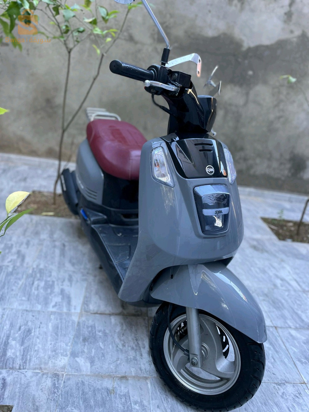 sym Tonik