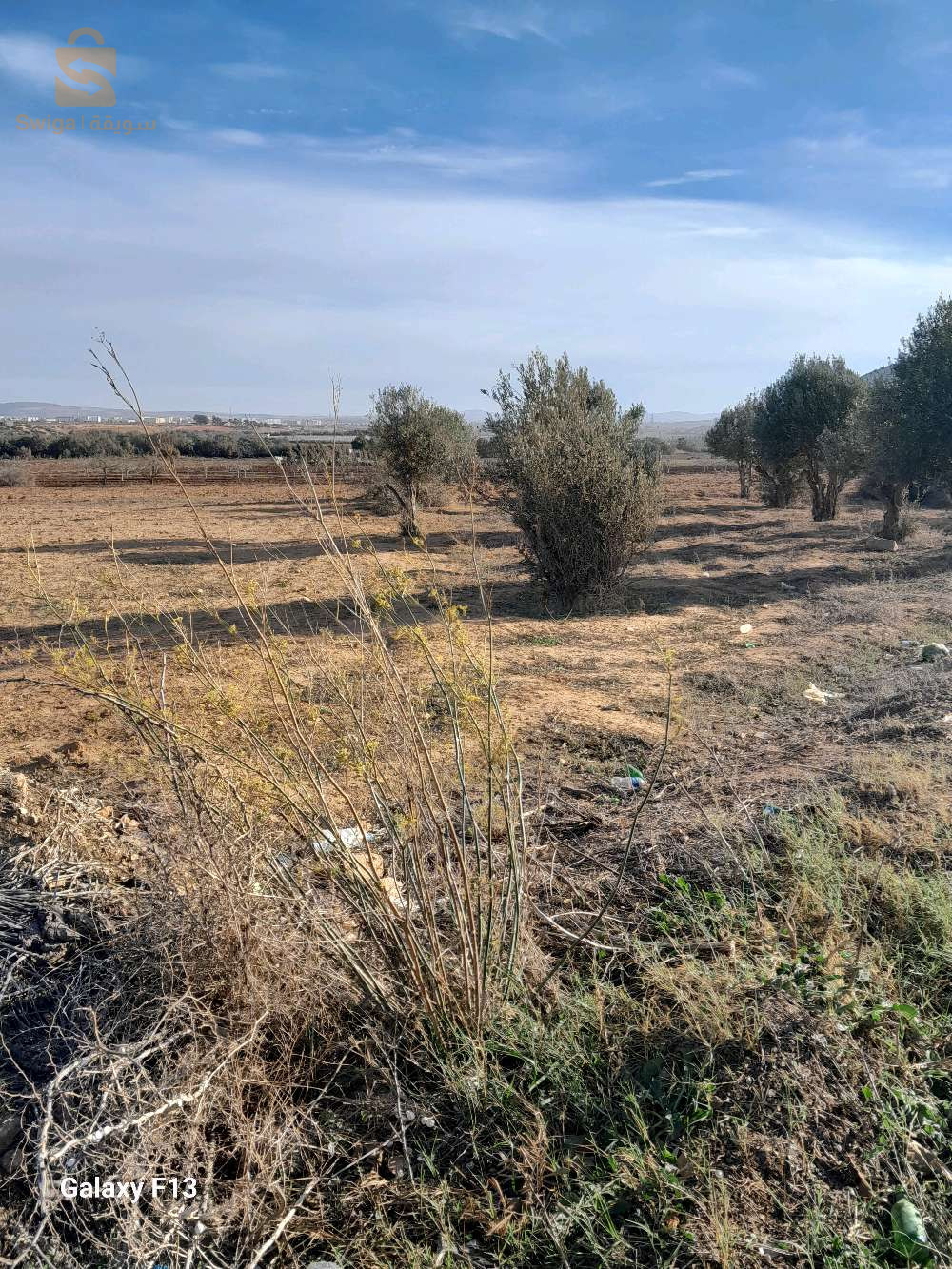 terrain agricole 7 are 50 centihar