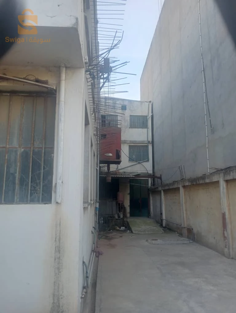 Hongar commercial EL hamiz